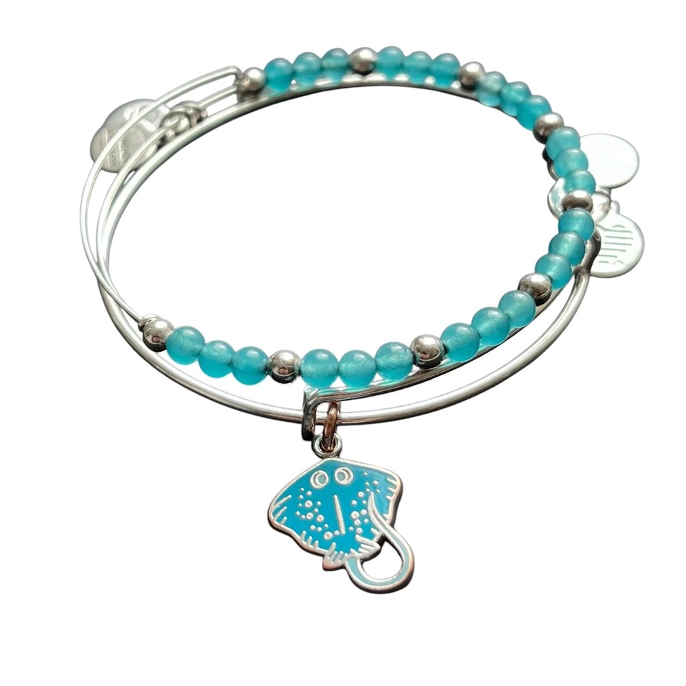 Alex and Ani Bracelet Jewelry Silver Stingray Ocean Set